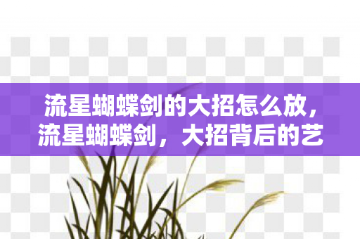流星蝴蝶剑的大招怎么放，流星蝴蝶剑，大招背后的艺术