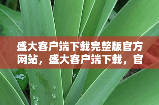 盛大客户端下载完整版官方网站，盛大客户端下载，官方渠道与便捷体验