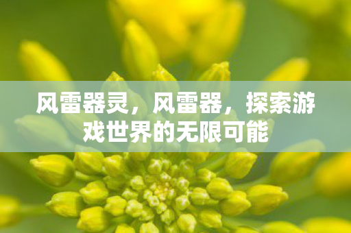 风雷器灵，风雷器，探索游戏世界的无限可能
