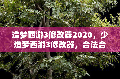 造梦西游3修改器2020，少造梦西游3修改器，合法合规的娱乐工具