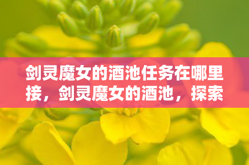 剑灵魔女的酒池任务在哪里接，剑灵魔女的酒池，探索未知世界的奇幻之旅