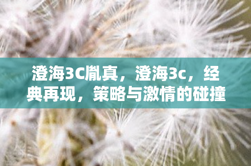 澄海3C胤真，澄海3c，经典再现，策略与激情的碰撞