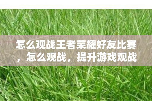 怎么观战王者荣耀好友比赛，怎么观战，提升游戏观战体验的技巧与策略