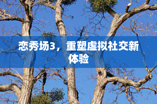 恋秀场3，重塑虚拟社交新体验