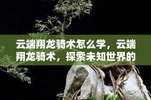 云端翔龙骑术怎么学，云端翔龙骑术，探索未知世界的奇幻之旅