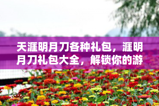 天涯明月刀各种礼包，涯明月刀礼包大全，解锁你的游戏之旅