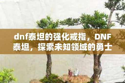 dnf泰坦的强化戒指，DNF泰坦，探索未知领域的勇士之旅
