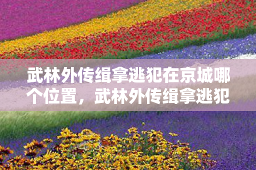 武林外传缉拿逃犯在京城哪个位置，武林外传缉拿逃犯