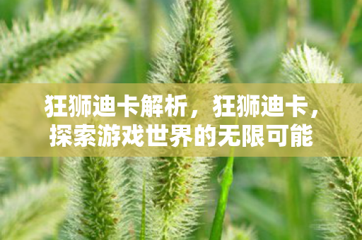 狂狮迪卡解析，狂狮迪卡，探索游戏世界的无限可能