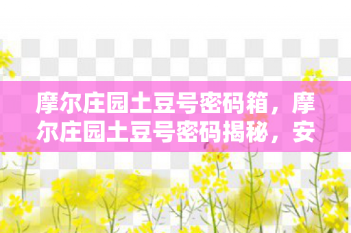 摩尔庄园土豆号密码箱，摩尔庄园土豆号密码揭秘，安全守护你的庄园之旅