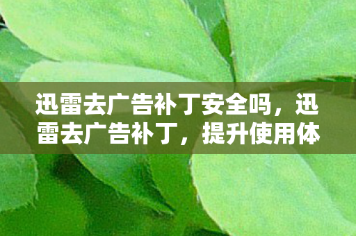 迅雷去广告补丁安全吗，迅雷去广告补丁，提升使用体验，告别繁琐广告