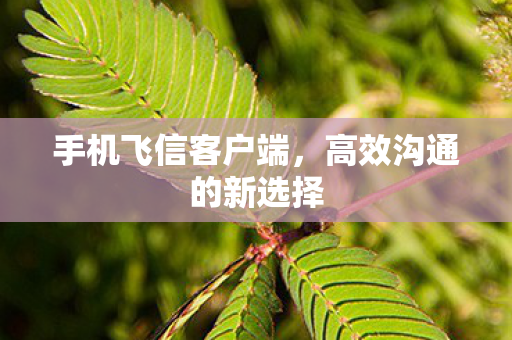 手机飞信客户端，高效沟通的新选择