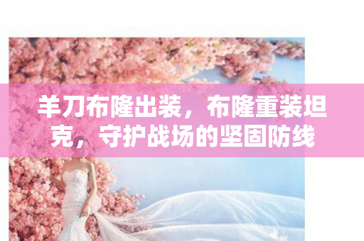 羊刀布隆出装，布隆重装坦克，守护战场的坚固防线