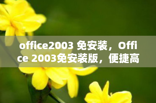 office2003 免安装，Office 2003免安装版，便捷高效，轻松办公