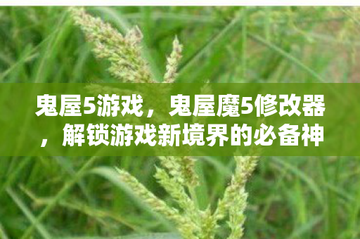 鬼屋5游戏，鬼屋魔5修改器，解锁游戏新境界的必备神器