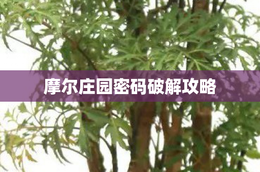 摩尔庄园密码破解攻略