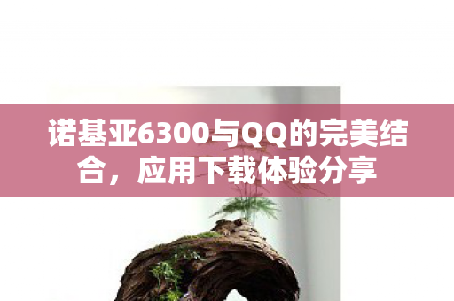 诺基亚6300与QQ的完美结合，应用下载体验分享