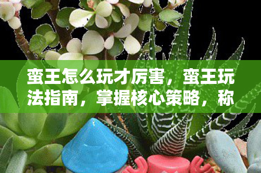 蛮王怎么玩才厉害，蛮王玩法指南，掌握核心策略，称霸战场