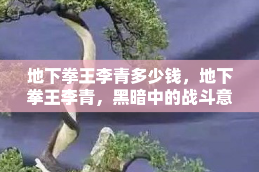 地下拳王李青多少钱，地下拳王李青，黑暗中的战斗意志