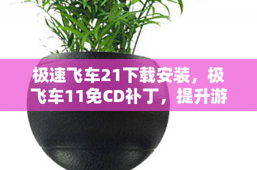 极速飞车21下载安装，极飞车11免CD补丁，提升游戏体验的实用工具