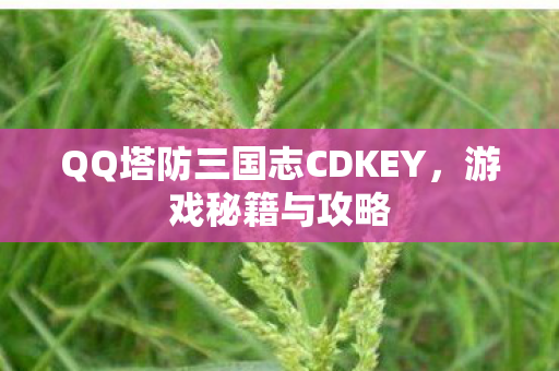 QQ塔防三国志CDKEY，游戏秘籍与攻略