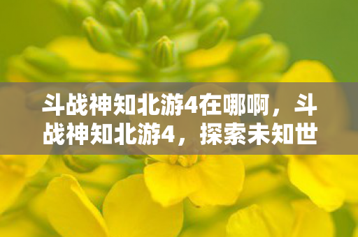 斗战神知北游4在哪啊，斗战神知北游4，探索未知世界的奇幻之旅