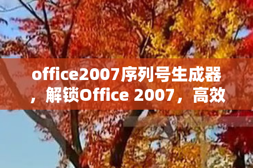 office2007序列号生成器，解锁Office 2007，高效办公的必备利器