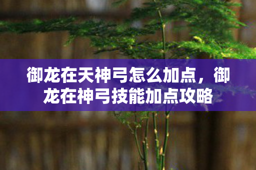 御龙在天神弓怎么加点，御龙在神弓技能加点攻略