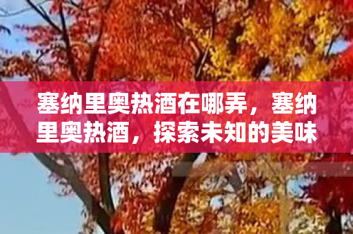 塞纳里奥热酒在哪弄，塞纳里奥热酒，探索未知的美味之旅