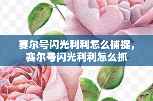 赛尔号闪光利利怎么捕捉，赛尔号闪光利利怎么抓