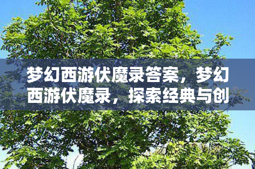 梦幻西游伏魔录答案，梦幻西游伏魔录，探索经典与创新的完美融合