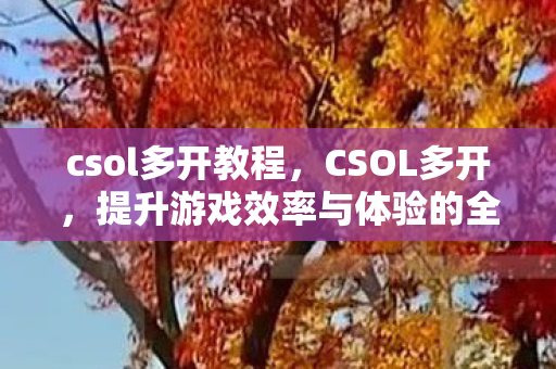 csol多开教程，CSOL多开，提升游戏效率与体验的全面指南