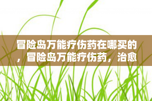 冒险岛万能疗伤药在哪买的，冒险岛万能疗伤药，治愈之旅的必备良品