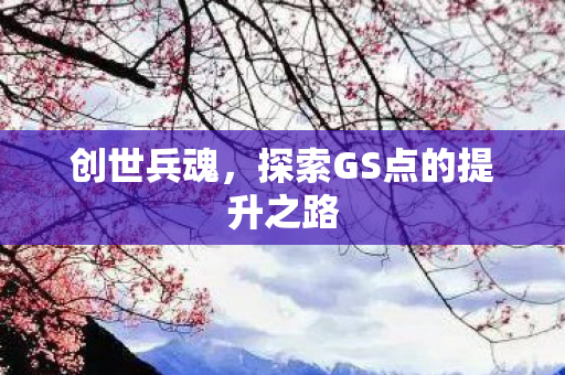 创世兵魂，探索GS点的提升之路