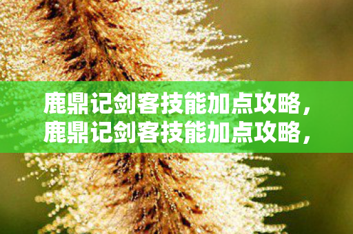 鹿鼎记剑客技能加点攻略，鹿鼎记剑客技能加点攻略，打造最强剑客