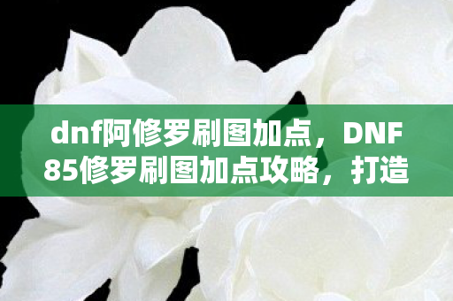 dnf阿修罗刷图加点，DNF85修罗刷图加点攻略，打造高效战斗体验