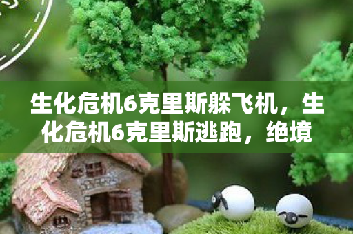 生化危机6克里斯躲飞机，生化危机6克里斯逃跑，绝境中的生死时速