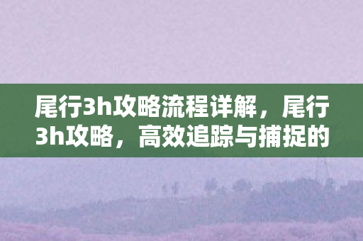 尾行3h攻略流程详解，尾行3h攻略，高效追踪与捕捉的实战技巧