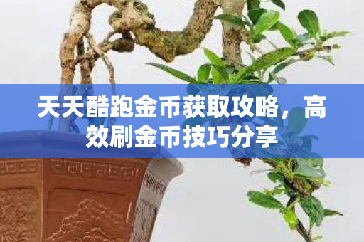 天天酷跑金币获取攻略，高效刷金币技巧分享