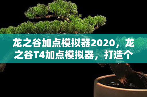 龙之谷加点模拟器2020，龙之谷T4加点模拟器，打造个性化角色，提升战斗效率