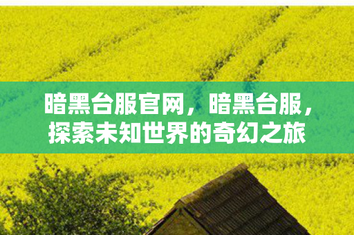 暗黑台服官网，暗黑台服，探索未知世界的奇幻之旅