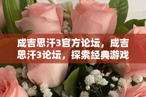 成吉思汗3官方论坛，成吉思汗3论坛，探索经典游戏的多元魅力