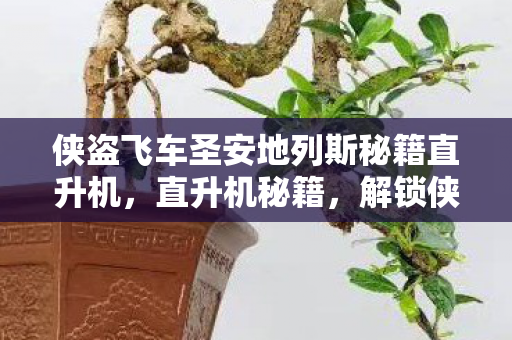 侠盗飞车圣安地列斯秘籍直升机，直升机秘籍，解锁侠盗猎车手，圣安地列斯中的飞行自由