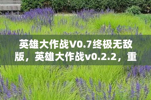 英雄大作战V0.7终极无敌版，英雄大作战v0.2.2，重温经典，探索无限可能