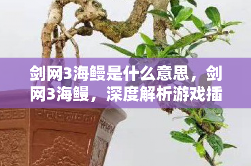 剑网3海鳗是什么意思，剑网3海鳗，深度解析游戏插件的奇妙世界