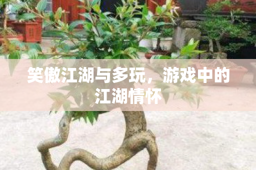 笑傲江湖与多玩，游戏中的江湖情怀