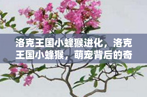 洛克王国小蜂猴进化，洛克王国小蜂猴，萌宠背后的奇妙世界