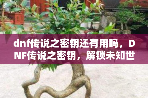 dnf传说之密钥还有用吗，DNF传说之密钥，解锁未知世界的神秘钥匙