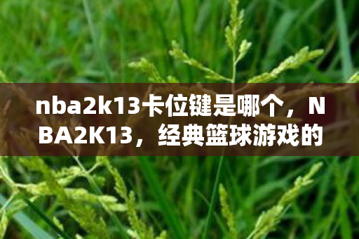 nba2k13卡位键是哪个，NBA2K13，经典篮球游戏的魅力与挑战