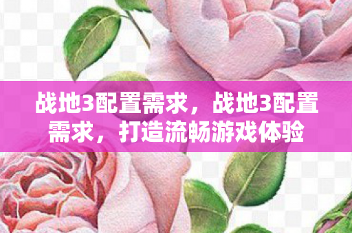 战地3配置需求，战地3配置需求，打造流畅游戏体验